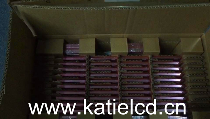 PVI元太6.5寸PW065XSA地鐵閘機(jī) 車載顯示工控屏